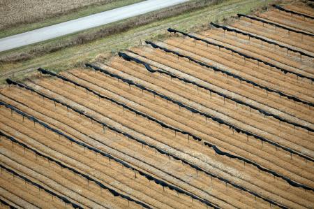 Weidemann-4716-Fields-Scandinavia_MG_3334-WEB.gif