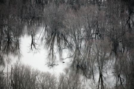 Weidemann-4716-WI-Rvr-Portage_MG_3352-WEB.gif