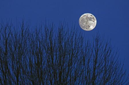 Weidemann-Moon-frm-Gas-Pumps-6P3_MG_3407-WEB.gif