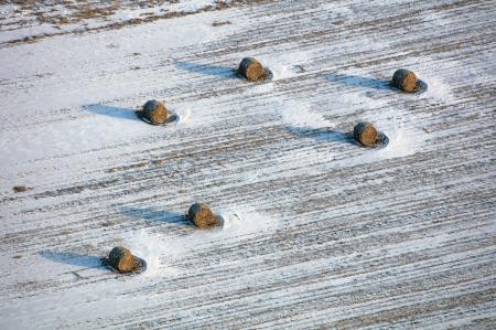 Weidemann-4735-Bales_MG_3661-WEB.gif