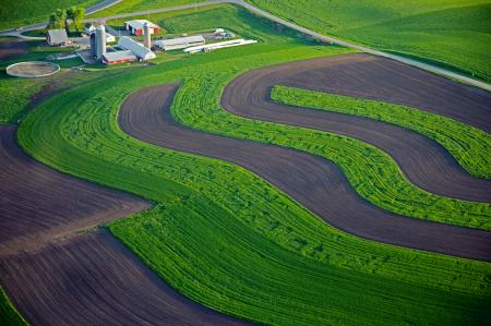 Weidemann-4735-Farm-N-C29_MG_0313-WEB.gif