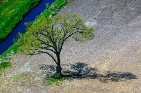 Weidemann-4735-Tree-Mud-Crk-S-Astico_MG_4505-WEB.gif