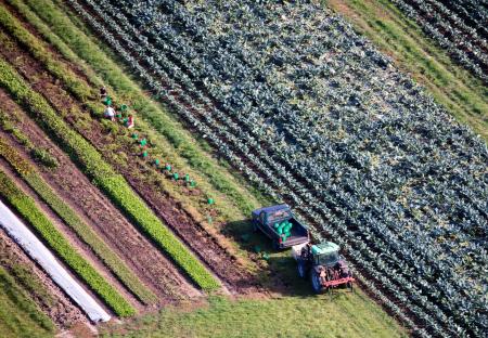 Weidemann 4735 Farm S Spring Grn _MG_7055.jpg