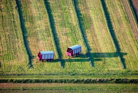 Weidemann 4735 Hay SW Verona_MG_6942.jpg