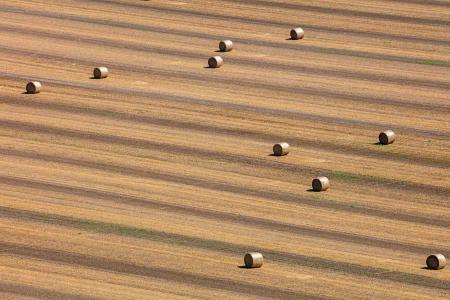 Weidemann 4735 Bales Otsego_MG_6099.jpg