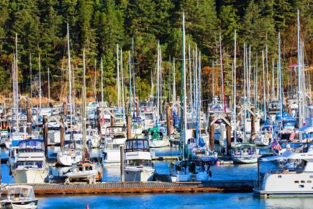 Weidemann 4716 Boat Masts_MG_9610 MOD.jpg