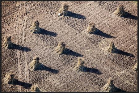 Weid 4735 Corn nr Montello_MG_7288 MOD.jpg