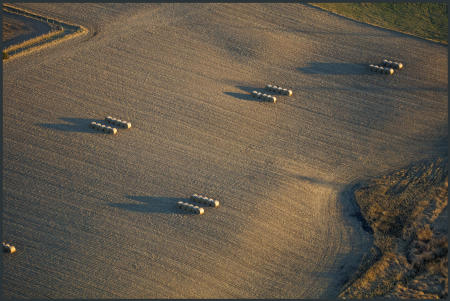 Weidemann 4735 Bales Roxsbury_MG_7433.jpg
