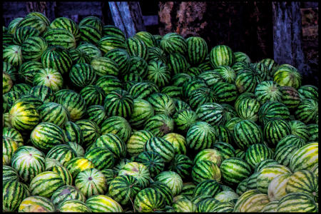 Weidemann 4744 Watermelon CR_MG_9909 ClrDay.jpg