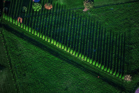 Weidemann 4778 Trees n Shadows_MG_6768 Edge n Dtl Bst.jpg