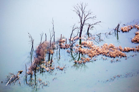 Weidemann 4778 Crystal Lake Trees_MG_4720 MOD.jpg