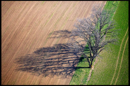 Weidemann 4778 Trees West Point_MG_4714 MOD.jpg