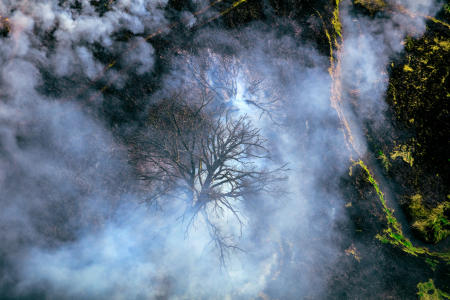 Weidemann 4778 Tree in Fire Blanchardville_MG_4189 MOD.jpg
