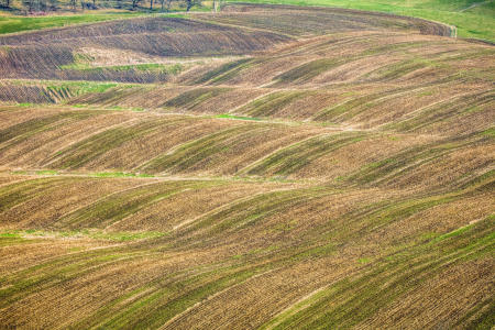 Weidemann 4778 Rolling Hills New Glarus_MG_4154 Clr n Contrast Bst III.jpg