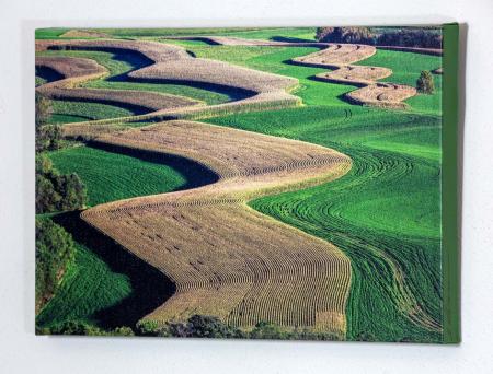 Fields Barneveld 4744 1650_MG_8629.jpg