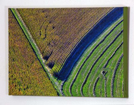 Fields nr Mount Vernon 4744 1959_MG_8632.jpg