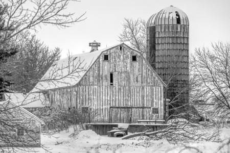 Weidemann 4784 Farm Evansville IMG_5484 Color n Cntrst Bst III Desat SRGB copy 12x18.jpg