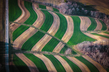 Weid 4881 Green n Earth Stripes Hwy A Ash Ridge _MGL3743 16x24 PRT