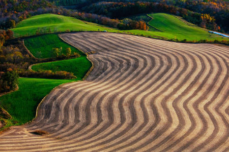 Weid 4881 IMG_3642 Fields n trees Richland Center 16by24 PRT