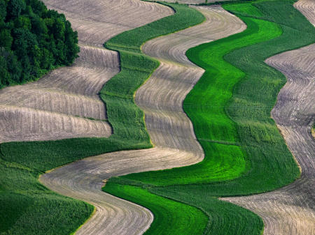 Weid 4881 June 2024 _MGL5206 Fields n Contours E of Plain 12x16 PRT