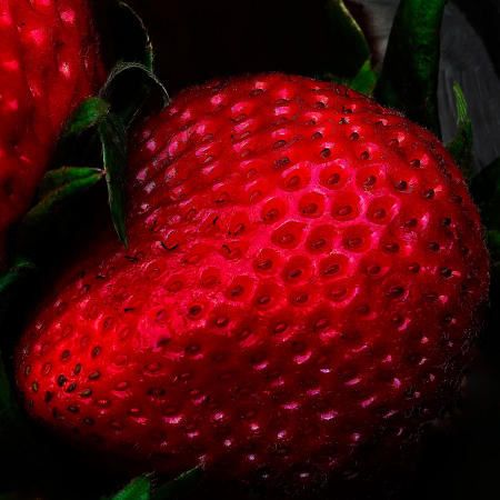 Weid 4881 Strawberry Macro Christmas 2024 _IMG_0206  20x20 PRT
