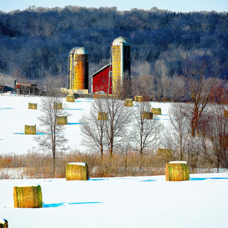Weidemann 4784 Bales n Barns CR A Belleville IMG_6444 20x20 PRT